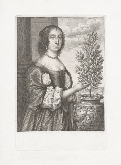 Portrét ženy stojící vedle vavřínové rostliny od Wenceslaus Hollar