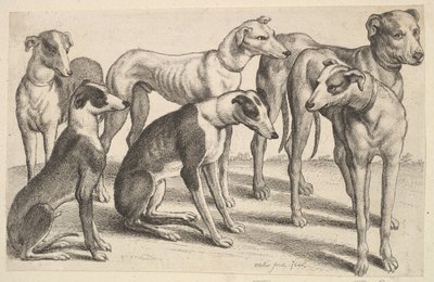 Šest honičů, 1646. od Wenceslaus Hollar