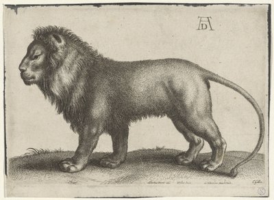 stojící lev od Wenceslaus Hollar