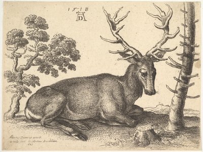 Jelen ležící vpravo, 1649. od Wenceslaus Hollar
