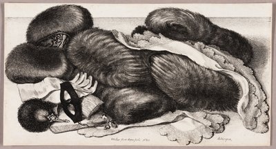 Zátiší se skupinou rukávů, párem rukavic a dvěma šátky od Wenceslaus Hollar