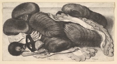 Zátiší se skupinou rukávníků, rukavicemi, vějíři, maskou a dvěma šátky, 1647. od Wenceslaus Hollar