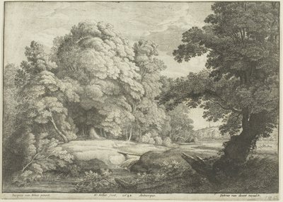 Most přes vodopád od Wenceslaus Hollar