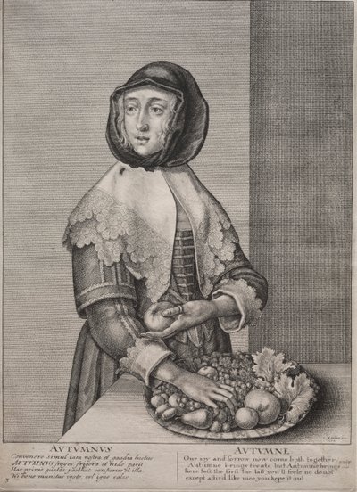 Čtvero ročních období: Podzim od Wenceslaus Hollar