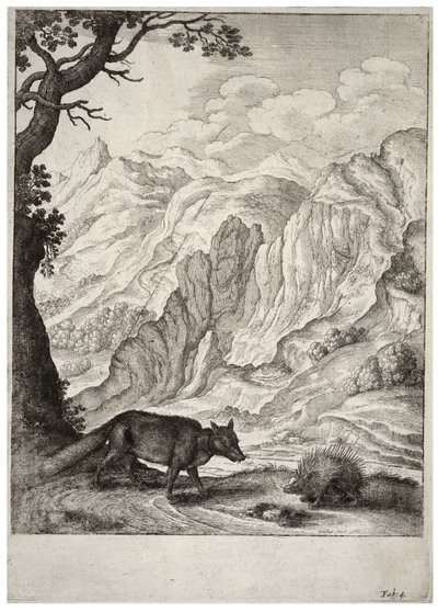 Liška a dikobraz. stát 2 od Wenceslaus Hollar
