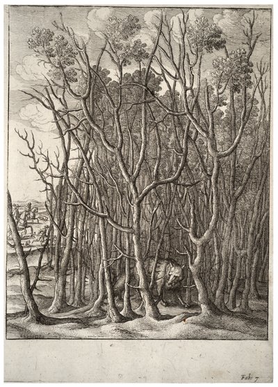 Liška a trnitý keř. stát 2 od Wenceslaus Hollar