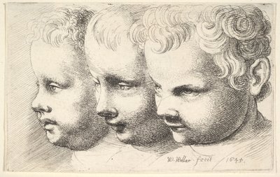 Tři dětské hlavy od Wenceslaus Hollar