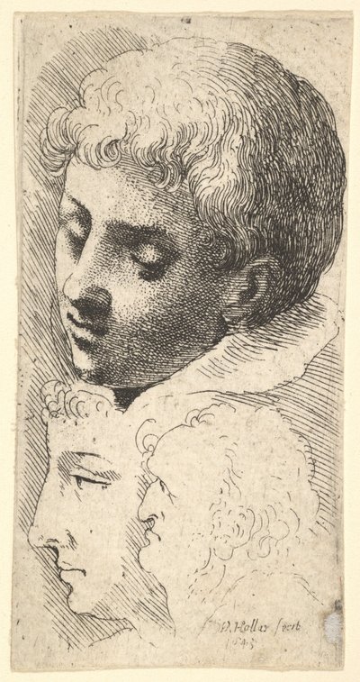 Tři hlavy, 1645. od Wenceslaus Hollar