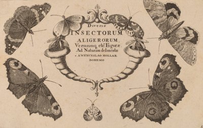 Titulní strana. od Wenceslaus Hollar
