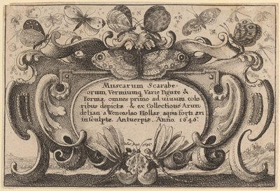 Titulní strana od Wenceslaus Hollar