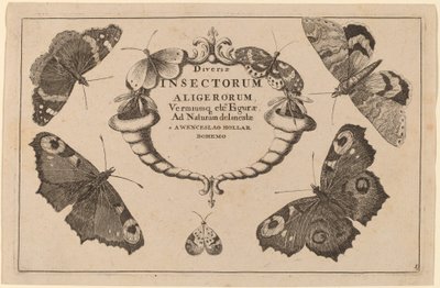 Titulní strana od Wenceslaus Hollar