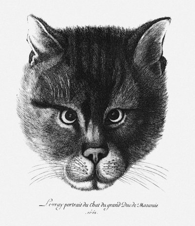 Pravdivý obrázek Kočky cara Alexise I. Michajloviče z Ruska od Wenceslaus Hollar