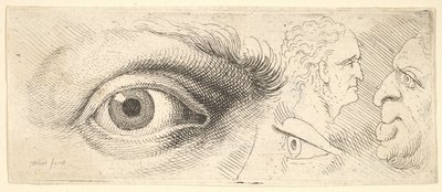 Dvě oči a dvě hlavy, 1644-52. od Wenceslaus Hollar