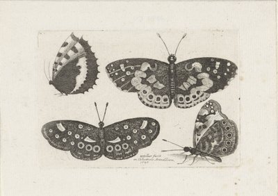 Vier vlinders Hmyz (název série) Scarab mouchy (název série) od Wenceslaus Hollar