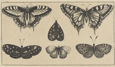 Pět motýlů a můra Různý hmyz (název série) Diversae Insectorum (název série) od Wenceslaus Hollar