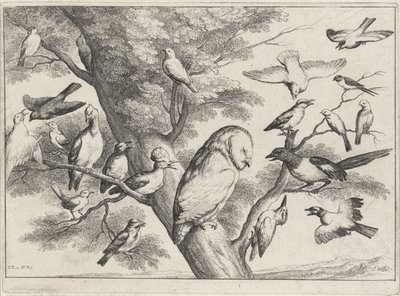 Ptáci na stromě Různí ptáci (název série) od Wenceslaus Hollar