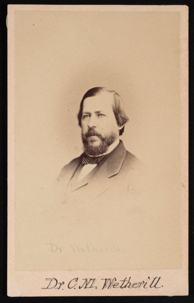Portrét doktora Charlese Mayera Wetherilla 1825-1871, 1864. od Wenderoth and Taylor