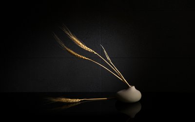  od Wendy Xu