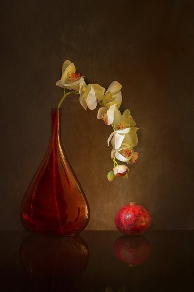  od Wendy Xu