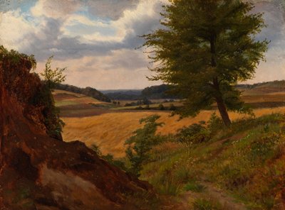 Strom v polní krajině, studie od Werner Holmberg
