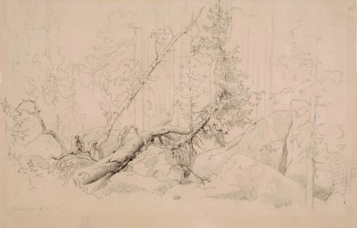  od Werner Holmberg