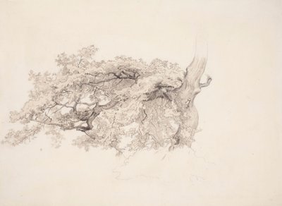 od Werner Holmberg