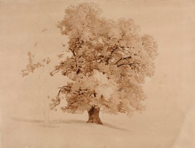  od Werner Holmberg