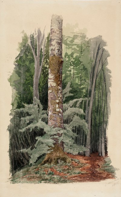  od Werner Holmberg