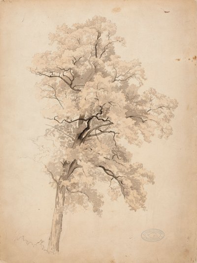  od Werner Holmberg