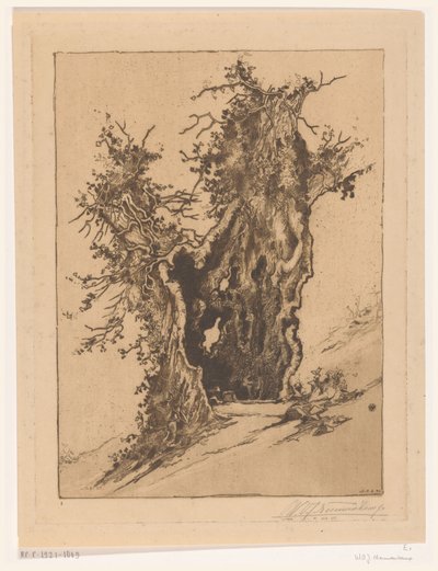 Dutý strom v Seelisberg ve Švýcarsku Hollow Tree (původní název) od Wijnand Otto Jan Nieuwenkamp (signed by artist)