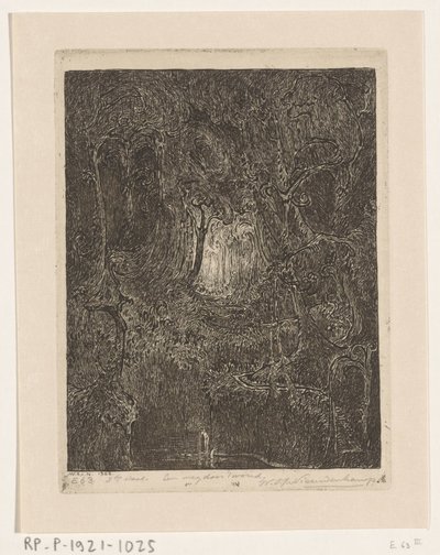 Džungle na Jávě Cesta lesem (původní název) od Wijnand Otto Jan Nieuwenkamp (signed by artist)