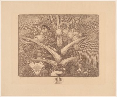 Vrchol kokosové palmy Tropenweelde (původní název na objektu) od Wijnand Otto Jan Nieuwenkamp (signed by artist)