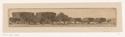 Waringin stromy v zahradě sultánova paláce v Jogyakartě Náměstí v Jogjakarta (původní název) od Wijnand Otto Jan Nieuwenkamp (signed by artist)