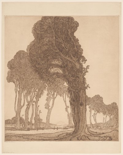 Část hlavní silnice u dessa Cakranegara (Tjakranegara) na Lomboku The Great Road (původní název) od Wijnand Otto Jan Nieuwenkamp