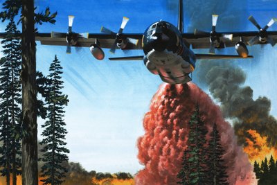 Bombardování lesního požáru od Wilf (20th century) Hardy