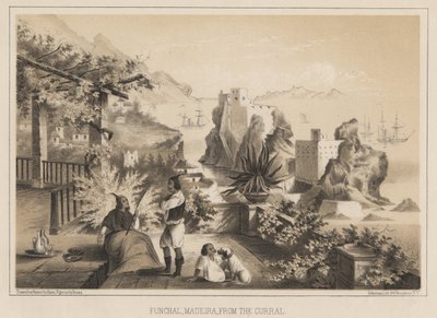 Funchal, Madeira, od Curralu, 1885 od Wilhelm Joseph Heine