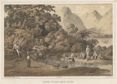 Kanaka Village Boninské ostrovy, 1855 od Wilhelm Joseph Heine