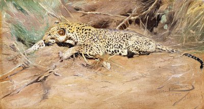 Leopard, od Wilhelm Kuhnert