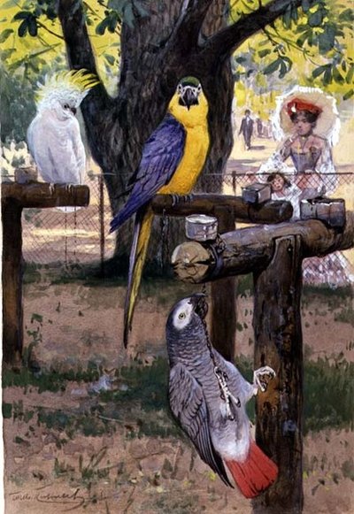 V zoo od Wilhelm Kuhnert