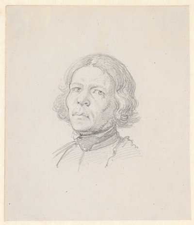 Portrét hlavy, švédský farmář od Wilhelm Marstrand