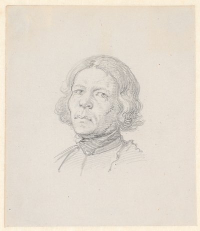 Portrét hlavy, švédský farmář od Wilhelm Marstrand