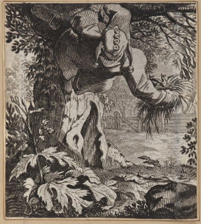 Odvážný blázen od Wilhelm Stettler