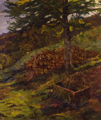 Siegfriedova kašna v Odenwaldu od Wilhelm Trübner