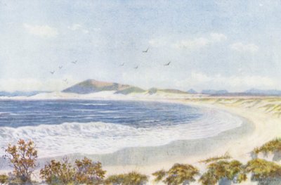 Blaauwberg a hlava Stolové zátoky (barevná litografie) od Wilhelm Westhofen