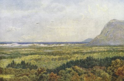 Údolí Constantia a False Bay s Cape Point (barevná litografie) od Wilhelm Westhofen