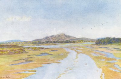 Tigerberg a řeka Diep (barevná litografie) od Wilhelm Westhofen