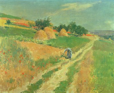 Sbírání divokých květin od Willard Leroy Metcalf