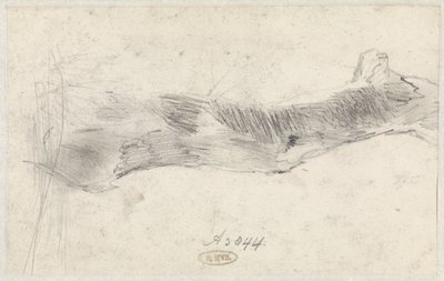 Studie stromu od Willem Anthonie van Deventer