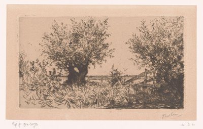 Krajina s loukou, polard vrbami a plotem Willows (Kaag) (původní název) od Willem Bastiaan Tholen (signed by artist)