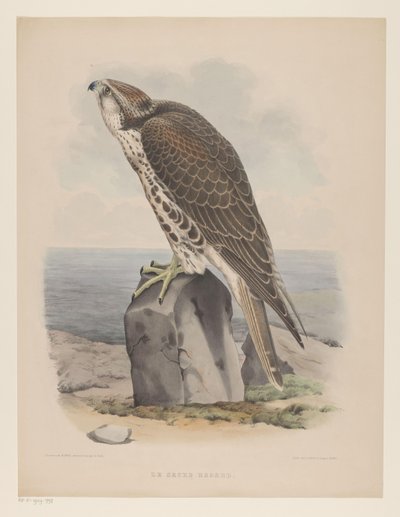 Valk Le sacre hagard (název na objektu) od Willem Bastiaan van Wouw